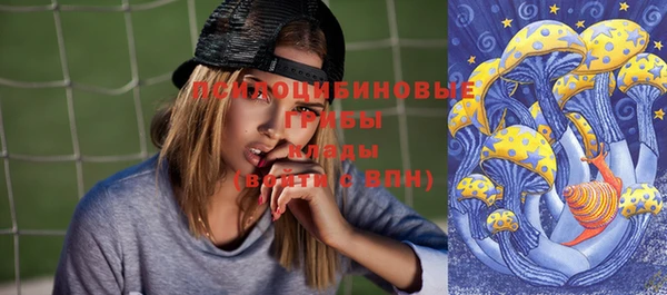 PSILOCYBIN Беломорск