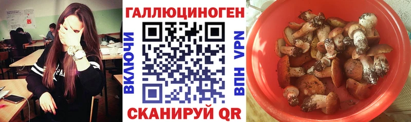 Псилоцибиновые грибы Magic Shrooms  Верхний Тагил 